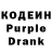 Кодеиновый сироп Lean Purple Drank Disamaid